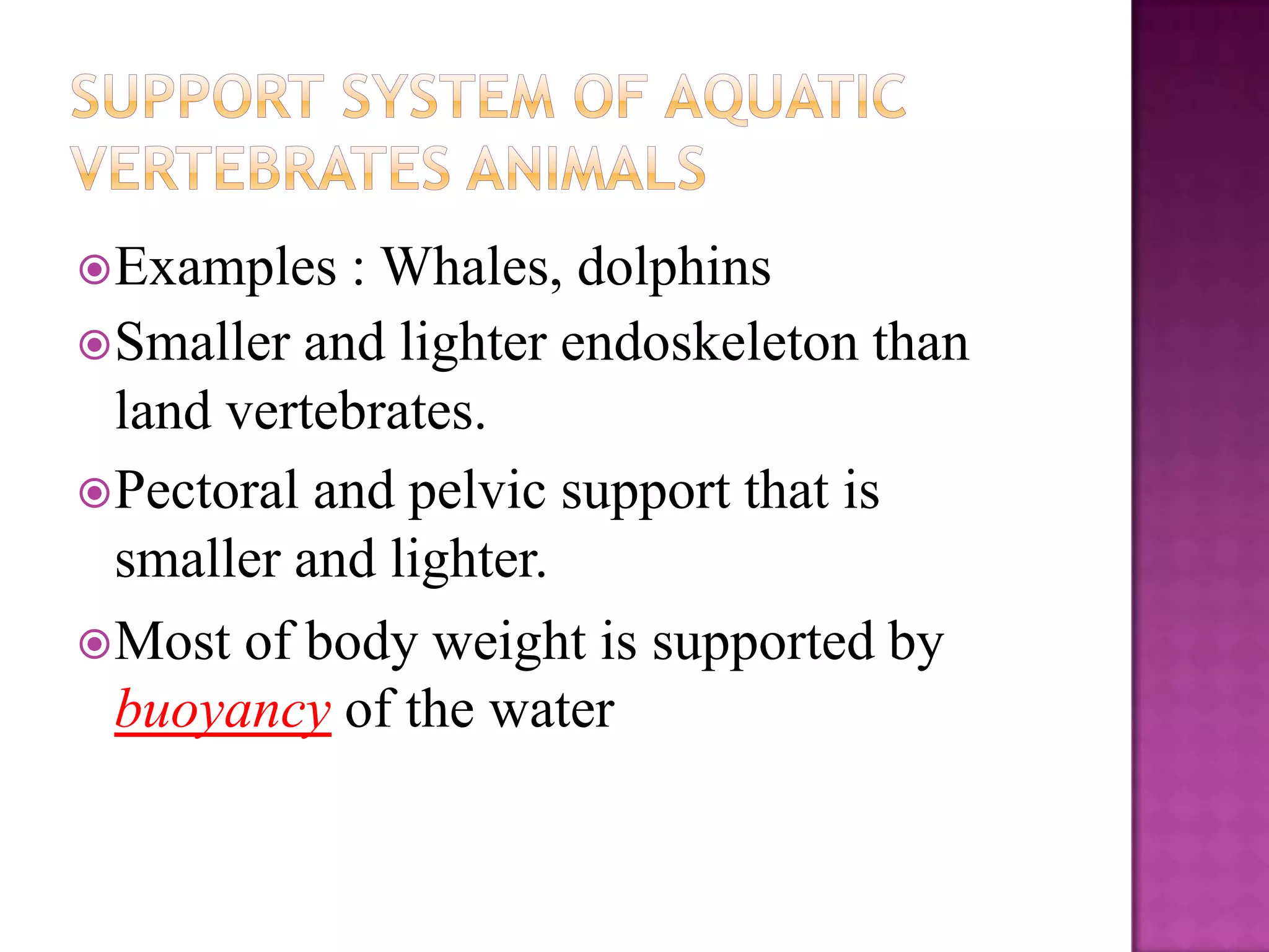  Examples  : Whales, dolphins
 Smaller and lighter endoskeleton than
  land vertebrates.
 Pectoral and pelvic support that is
  smaller and lighter.
 Most of body weight is supported by
  buoyancy of the water
 
