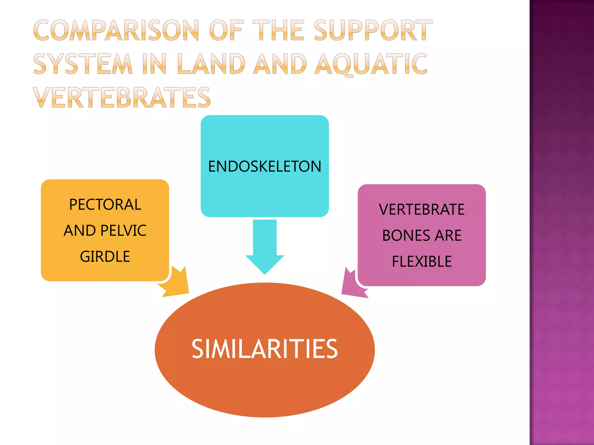 ENDOSKELETON

PECTORAL                     VERTEBRATE
AND PELVIC                   BONES ARE
 GIRDLE                       FLEXIBLE




             SIMILARITIES
 