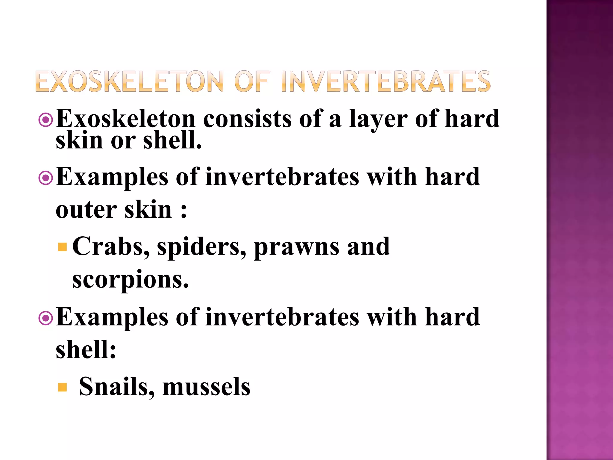  Exoskeleton   consists of a layer of hard
  skin or shell.
 Examples of invertebrates with hard
  outer skin :
   Crabs, spiders, prawns and
    scorpions.
 Examples of invertebrates with hard
  shell:
   Snails, mussels
 