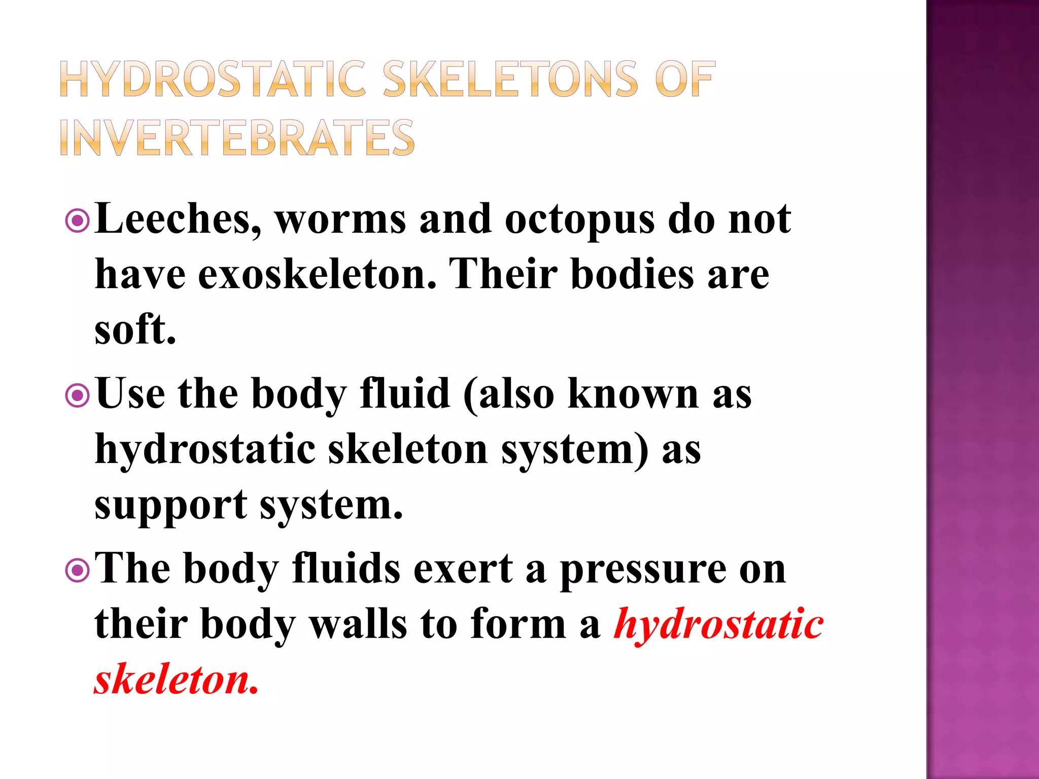 Leeches,  worms and octopus do not
  have exoskeleton. Their bodies are
  soft.
 Use the body fluid (also known as
  hydrostatic skeleton system) as
  support system.
 The body fluids exert a pressure on
  their body walls to form a hydrostatic
  skeleton.
 