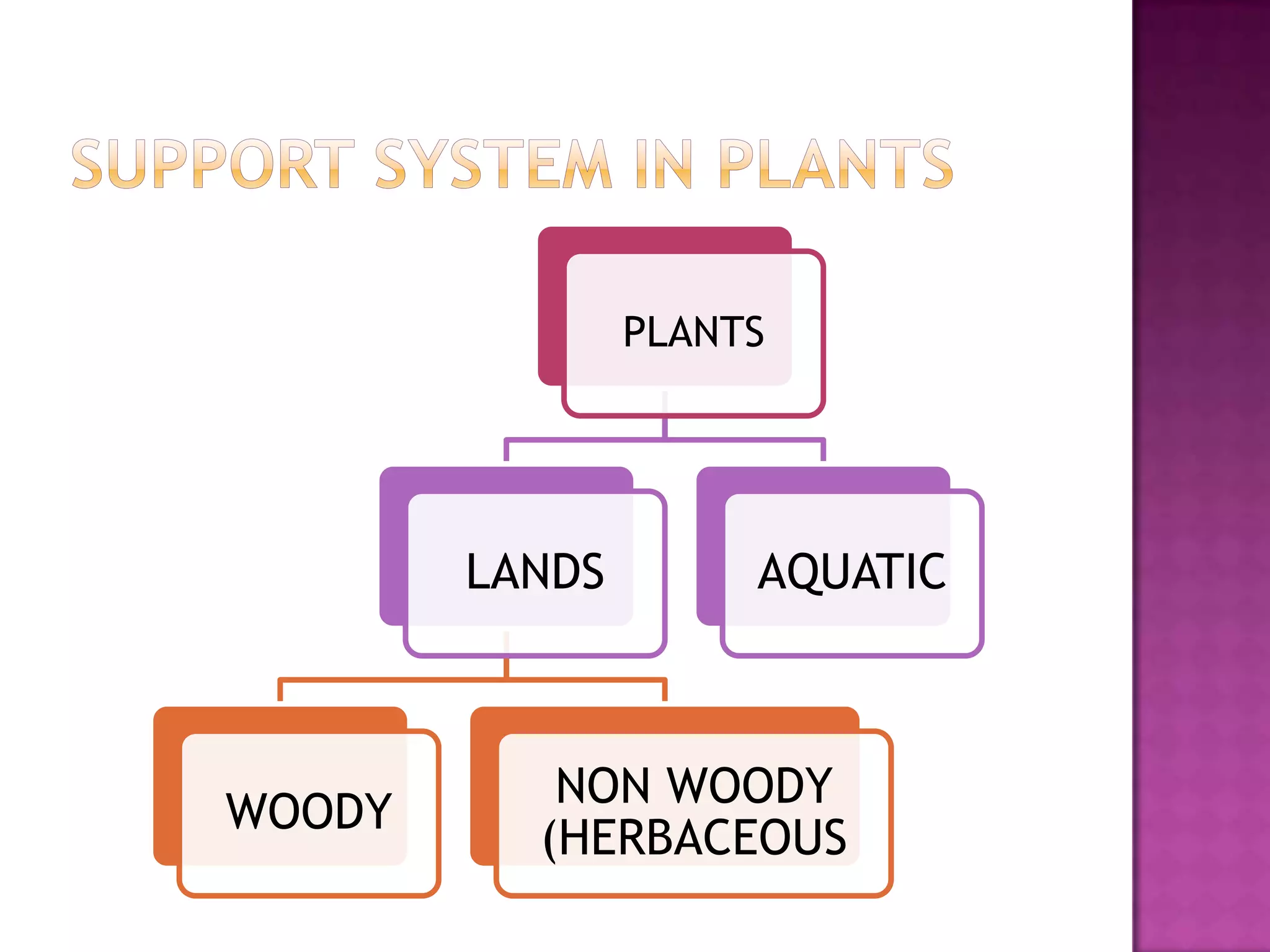 PLANTS




        LANDS        AQUATIC



           NON WOODY
WOODY
          (HERBACEOUS
 