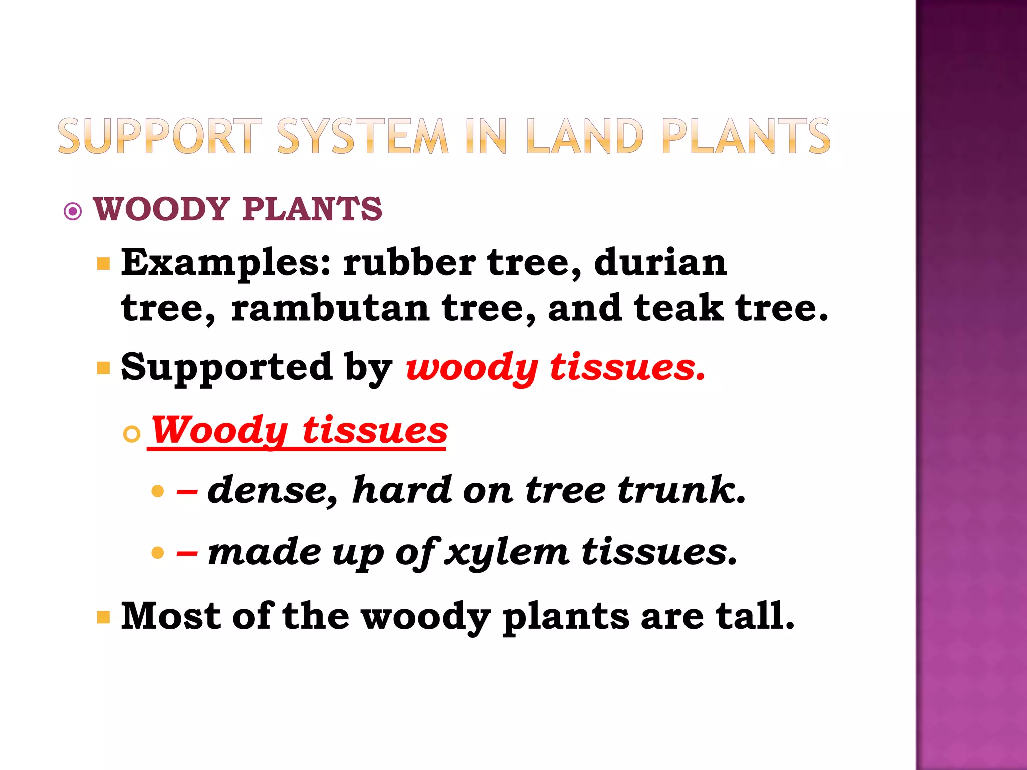    WOODY PLANTS
     Examples: rubber tree, durian
      tree, rambutan tree, and teak tree.
     Supported by woody tissues.
        Woody tissues
         –   dense, hard on tree trunk.
         –   made up of xylem tissues.
     Most     of the woody plants are tall.
 