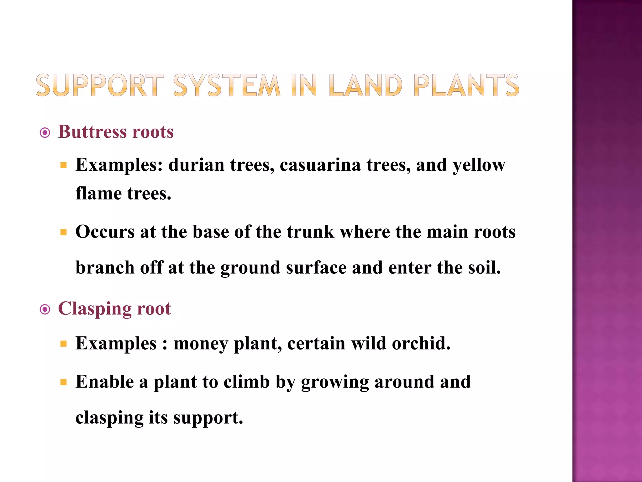    Buttress roots
       Examples: durian trees, casuarina trees, and yellow
        flame trees.
       Occurs at the base of the trunk where the main roots
        branch off at the ground surface and enter the soil.

   Clasping root
       Examples : money plant, certain wild orchid.
       Enable a plant to climb by growing around and
        clasping its support.
 