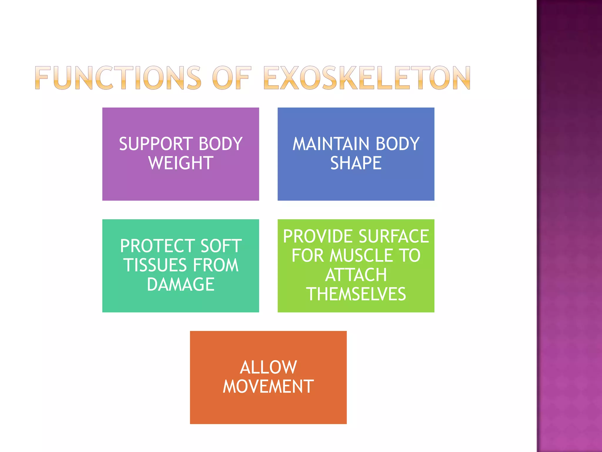 SUPPORT BODY    MAINTAIN BODY
   WEIGHT           SHAPE


               PROVIDE SURFACE
PROTECT SOFT
                FOR MUSCLE TO
TISSUES FROM
                   ATTACH
   DAMAGE
                 THEMSELVES


           ALLOW
          MOVEMENT
 