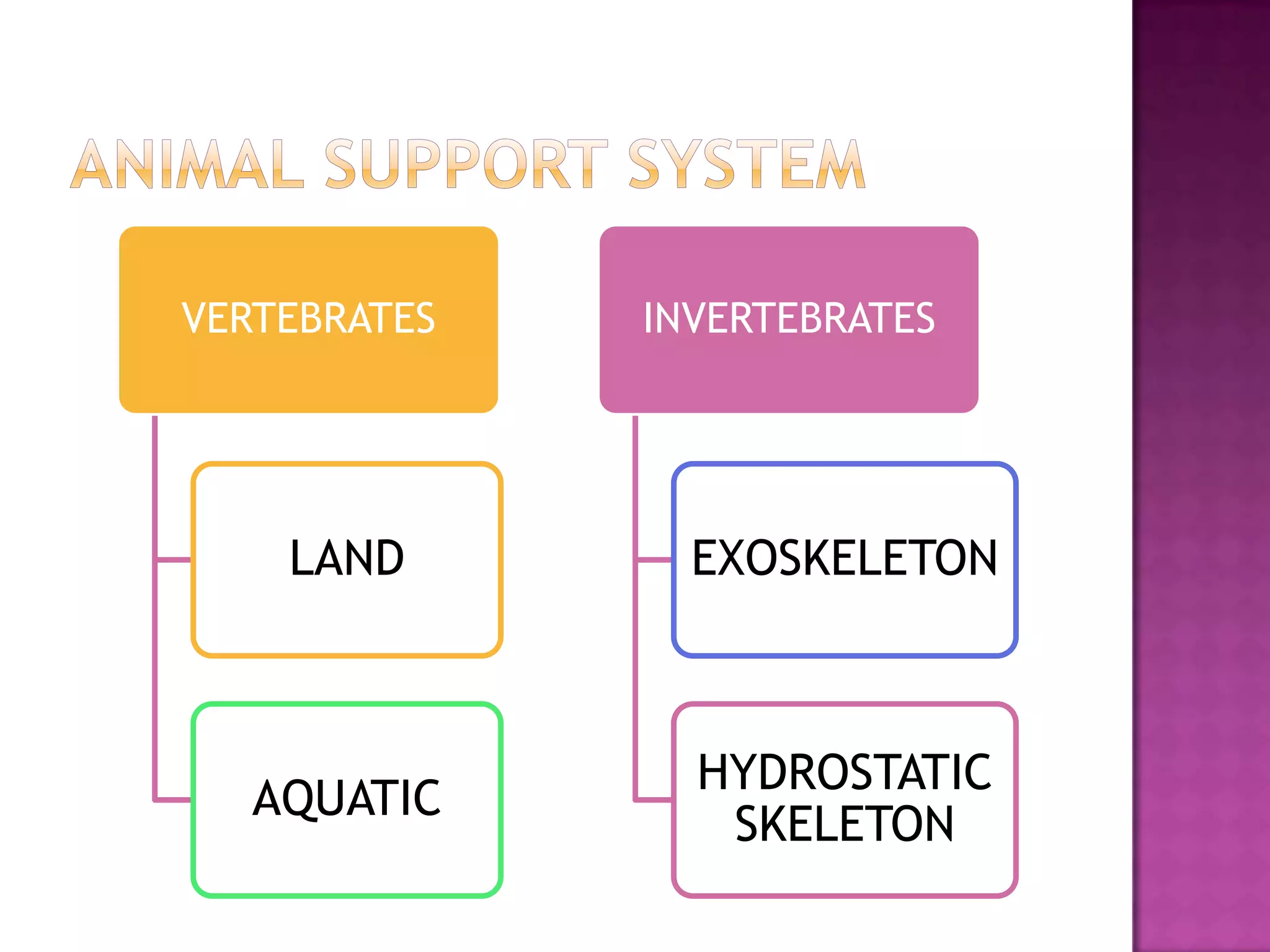 VERTEBRATES   INVERTEBRATES




    LAND        EXOSKELETON



                HYDROSTATIC
   AQUATIC
                 SKELETON
 