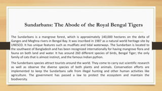 Sundarbans Python Chapter 8 Tourist Geography of Bangladesh | PDF