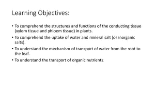 Learning Objectives:
• To comprehend the structures and functions of the conducting tissue
(xylem tissue and phloem tissue...