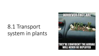 8.1 Transport
system in plants
 