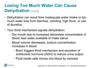 Copyright © 2023 Pearson Education, Inc. All Rights Reserved
Losing Too Much Water Can Cause
Dehydration (1 of 2)
• Dehydration can result from inadequate water intake or too
much water loss from diarrhea, vomiting, high fever, or use
of diuretics.
• Your thirst mechanism signals dehydration:
– Dry mouth due to increased electrolyte concentration in
blood: less water available to make saliva
– Blood volume decreases, sodium concentration
increases in blood:
▪ Brain triggers thirst mechanism and secretion of
antidiuretic hormone (ADH) to reduce urine output
▪ Fluid inside cells moves into blood by osmosis
 
