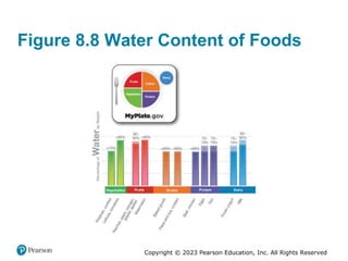 Copyright © 2023 Pearson Education, Inc. All Rights Reserved
Figure 8.8 Water Content of Foods
 