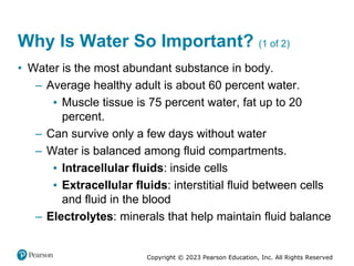 Copyright © 2023 Pearson Education, Inc. All Rights Reserved
Why Is Water So Important? (1 of 2)
• Water is the most abundant substance in body.
– Average healthy adult is about 60 percent water.
▪ Muscle tissue is 75 percent water, fat up to 20
percent.
– Can survive only a few days without water
– Water is balanced among fluid compartments.
▪ Intracellular fluids: inside cells
▪ Extracellular fluids: interstitial fluid between cells
and fluid in the blood
– Electrolytes: minerals that help maintain fluid balance
 