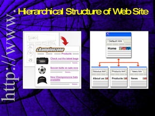 Hierarchical Structure of Web Site 