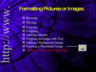 Formatting Pictures or Images Resizing Moving Copying Cropping Adding a Border Aligning an Image with Text Adding a Background Image Creating a Thumbnail Image Adding a Hyperlink to an Image 
