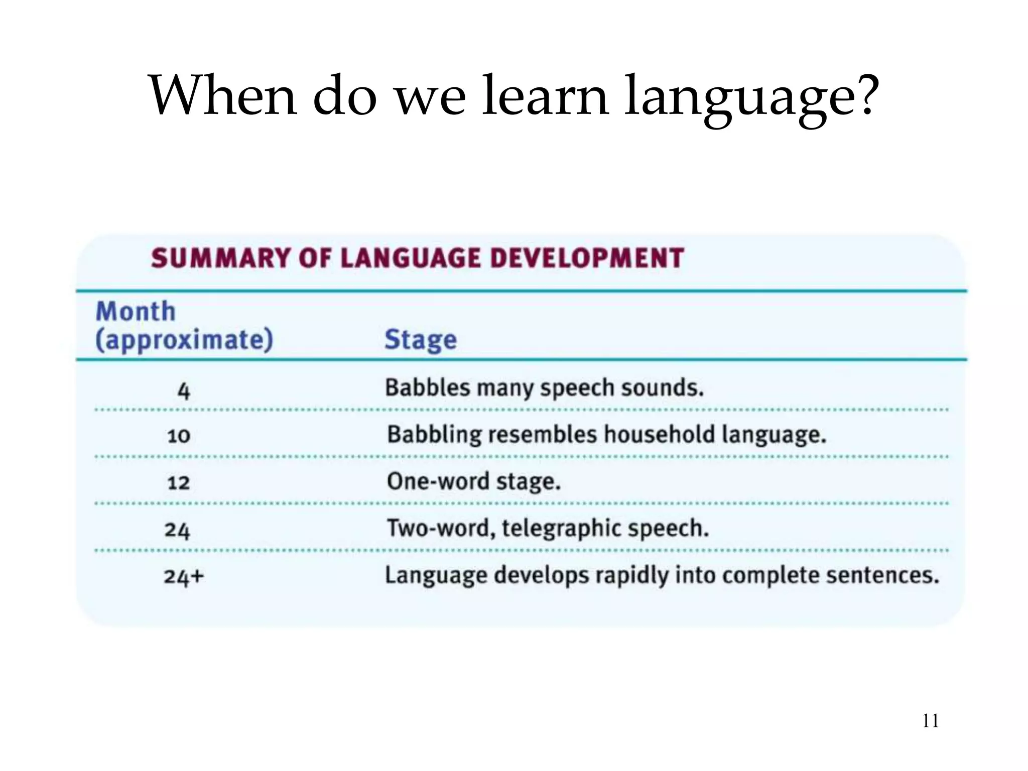 When do we learn language?




                             11
 