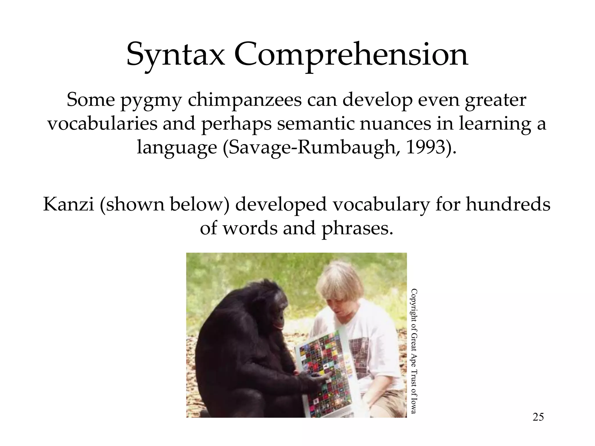 Syntax Comprehension
  Some pygmy chimpanzees can develop even greater
vocabularies and perhaps semantic nuances in learning a
         language (Savage-Rumbaugh, 1993).

Kanzi (shown below) developed vocabulary for hundreds
                of words and phrases.




                                       Copyright of Great Ape Trust of Iowa
                                                                              25
 