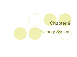 Chapter 9 Urinary System 