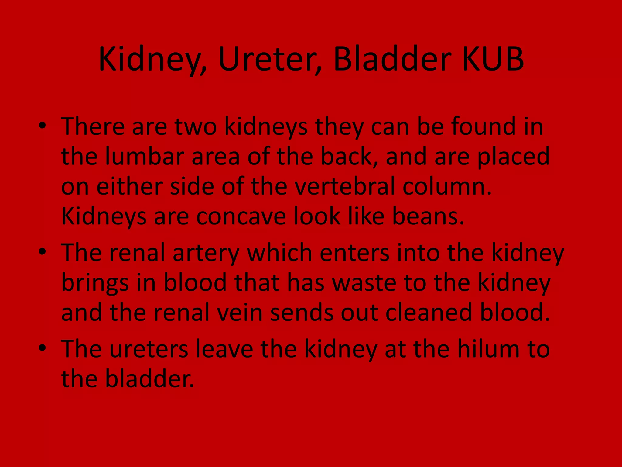 Kidney, Ureter, Bladder KUBThere are two kidneys they can be found in the lumbar area of the back, and are placed on either side of the vertebral column. Kidneys are concave look like beans.The renal artery which enters into the kidney brings in blood that has waste to the kidney and the renal vein sends out cleaned blood. The ureters leave the kidney at the hilum to the bladder. 