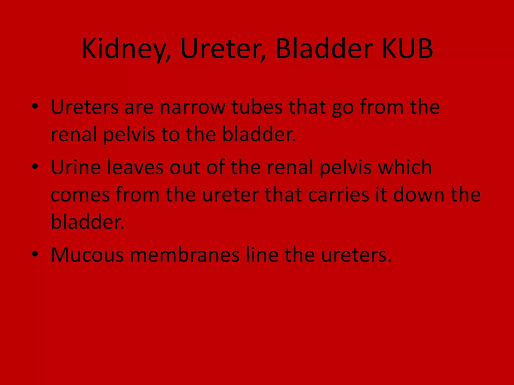Kidney, Ureter, Bladder KUBUreters are narrow tubes that go from the renal pelvis to the bladder. Urine leaves out of the renal pelvis which comes from the ureter that carries it down the bladder.Mucous membranes line the ureters.