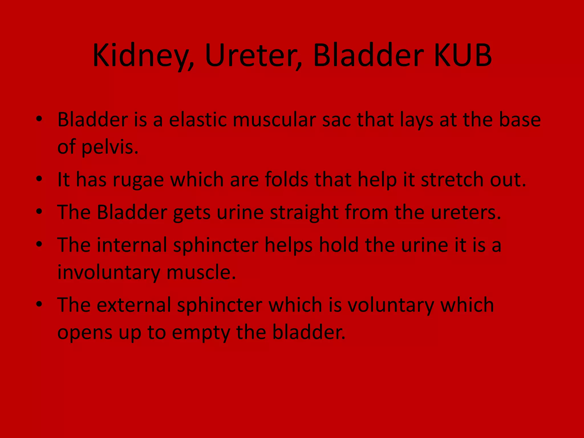 Kidney, Ureter, Bladder KUBBladder is a elastic muscular sac that lays at the base of pelvis.It has rugae which are folds that help it stretch out. The Bladder gets urine straight from the ureters.The internal sphincter helps hold the urine it is a involuntary muscle.The external sphincter which is voluntary which opens up to empty the bladder.