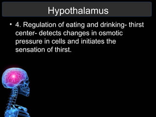 Chapter 9 10 11 12 Nervous System notes | PPT
