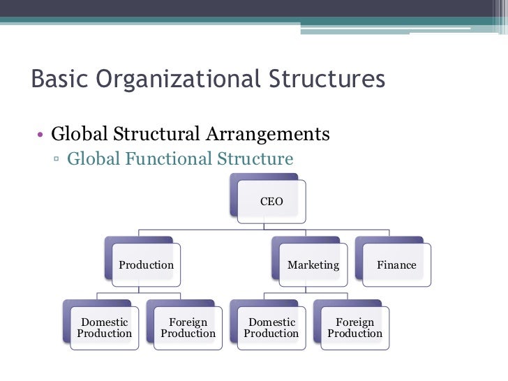 basic organization structure