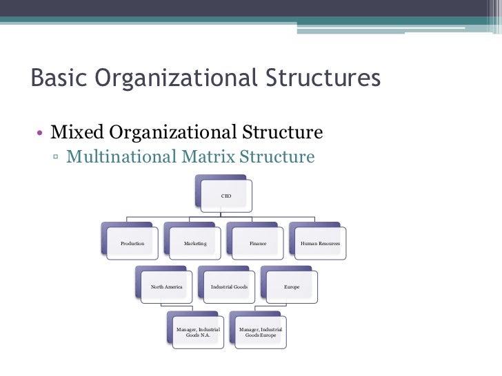 Organizational Chart Of Multinational Company