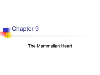 Chapter 9 The Mammalian Heart 