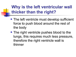 Why is the left ventricular wall thicker than the right? The left ventricle must develop sufficient force to push blood around the rest of the body The right ventricle pushes blood to the lungs, this requires much less pressure, therefore the right ventricle wall is thinner 