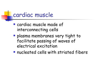 cardiac muscle cardiac muscle made of interconnecting cells plasma membranes very tight to facilitate passing of waves of electrical excitation nucleated cells with striated fibers 