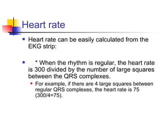 Heart rate Heart rate can be easily calculated from the EKG strip: * When the rhythm is regular, the heart rate is 300 divided by the number of large squares between the QRS complexes. For example, if there are 4 large squares between regular QRS complexes, the heart rate is 75 (300/4=75). 