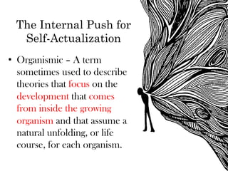 The Internal Push for
  Self-Actualization
•  Organismic – A term
   sometimes used to describe
   theories that focus on the
   development that comes
   from inside the growing
   organism and that assume a
   natural unfolding, or life
   course, for each organism.
 