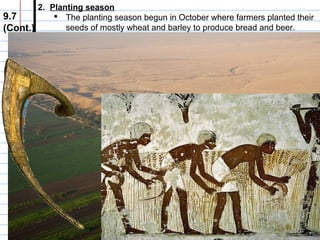 2. Planting season
 The planting season begun in October where farmers planted their
9.7
seeds of mostly wheat and barley to produce bread and beer.
(Cont.)
3. Harvest season
 The Harvest season begun in March where men cut down the
plants with Sickles, which were metal blades. Women and
children gathered the grain. The workdays were very long during
this season. (from dawn to dusk)
DAILY LIVES OF PEASANTS
•

Peasants had the fewest comforts of any social class:
• Mud brick houses
• Furniture consisted of mats
• Meals consisted of:
• Onions
• Cucumbers
• Fish
• Bread…
• Peasants rarely ate meat (except fish)

 