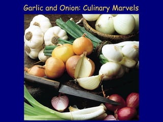 Garlic and Onion: Culinary MarvelsGarlic and Onion: Culinary Marvels
 