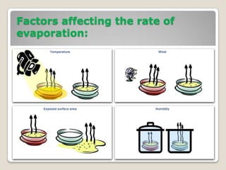 Factors affecting the rate of
evaporation:
 