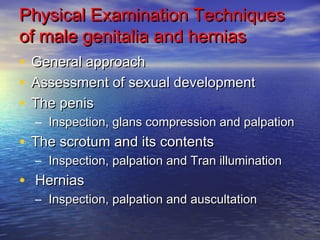 Physical EExxaammiinnaattiioonn TTeecchhnniiqquueess 
ooff mmaallee ggeenniittaalliiaa aanndd hheerrnniiaass 
• GGeenneerraall aapppprrooaacchh 
• AAsssseessssmmeenntt ooff sseexxuuaall ddeevveellooppmmeenntt 
• TThhee ppeenniiss 
– IInnssppeeccttiioonn,, ggllaannss ccoommpprreessssiioonn aanndd ppaallppaattiioonn 
• TThhee ssccrroottuumm aanndd iittss ccoonntteennttss 
– IInnssppeeccttiioonn,, ppaallppaattiioonn aanndd TTrraann iilllluummiinnaattiioonn 
• HHeerrnniiaass 
– IInnssppeeccttiioonn,, ppaallppaattiioonn aanndd aauussccuullttaattiioonn 
 