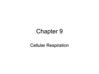 Chapter 9 
Cellular Respiration 
 