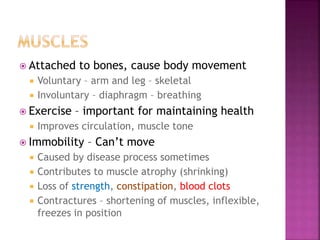  Attached to bones, cause body movement
 Voluntary – arm and leg – skeletal
 Involuntary – diaphragm – breathing
 Exercise – important for maintaining health
 Improves circulation, muscle tone
 Immobility – Can’t move
 Caused by disease process sometimes
 Contributes to muscle atrophy (shrinking)
 Loss of strength, constipation, blood clots
 Contractures – shortening of muscles, inflexible,
freezes in position
 