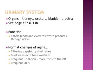 Organs – kidneys, ureters, bladder, urethra
 See page 137 & 138
 Function:
 Filters blood and excretes waste products
through urine
 Normal changes of aging…
 Filtering capability diminishes
 Bladder muscle tone weakens
 Frequent urination – more trips to the BR
 Frequent UTIs
 