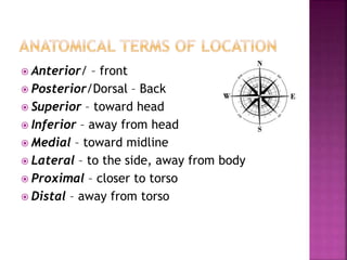  Anterior/ – front
 Posterior/Dorsal – Back
 Superior – toward head
 Inferior – away from head
 Medial – toward midline
 Lateral – to the side, away from body
 Proximal – closer to torso
 Distal – away from torso
 