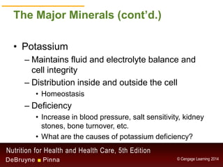 Chapter 9 - Water and the Minerals | PDF