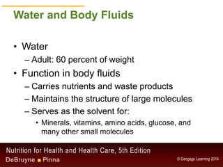 Chapter 9 - Water and the Minerals | PDF