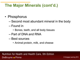 Chapter 9 - Water and the Minerals | PDF