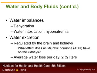 Chapter 9 - Water and the Minerals | PDF