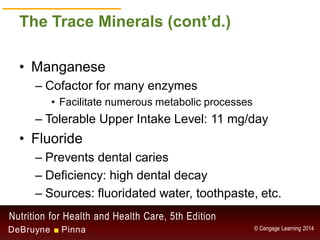 Chapter 9 - Water and the Minerals | PDF