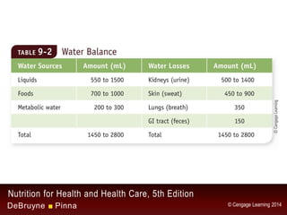 Chapter 9 - Water and the Minerals | PDF