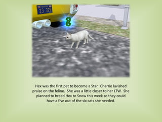 Hex was the first pet to become a Star. Charrie lavished
praise on the feline. She was a little closer to her LTW. She
planned to breed Hex to Snow this week so they could
have a five out of the six cats she needed.
 