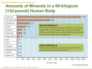 Chapter 9: Water and the Minerals | PPT