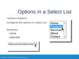 Copyright © Terry Felke-Morris http://terrymorris.net
Options in a Select List
<option></option>
Configures the options in a Select List
Attributes:
◦value
◦selected
19
 