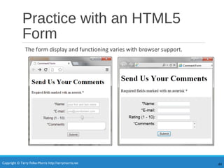 Copyright © Terry Felke-Morris http://terrymorris.net
Practice with an HTML5
Form
The form display and functioning varies with browser support.
49
 