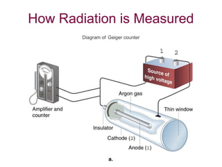 How Radiation is Measured
 